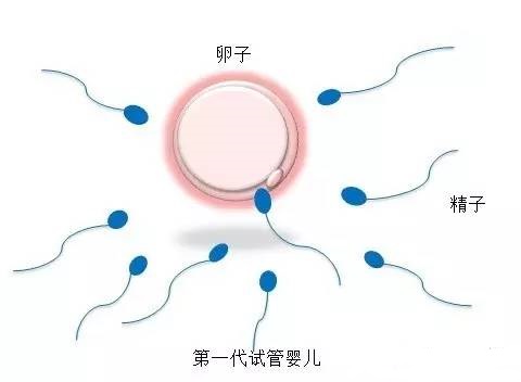 主任